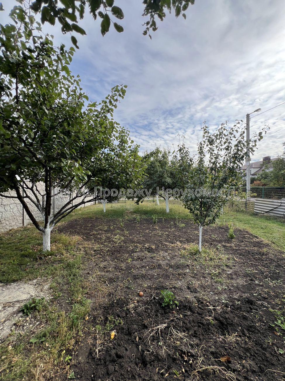 Фото Затишний будинок зі зручним розташуванням та облаштованим подвір'ям18