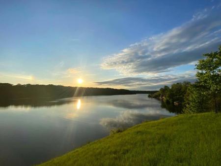 Продам ділянку сільгосп призначення