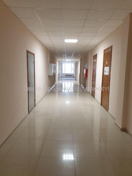 Здам офіс в офісному центрі