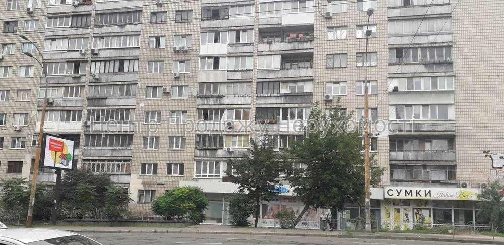 Фото 3 к, Киев, Центр, ул. Вячеслава Черновола1