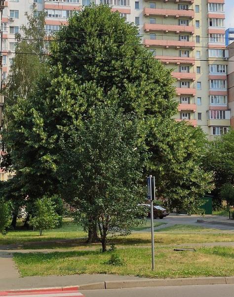Продам 1-кімнатну квартиру
