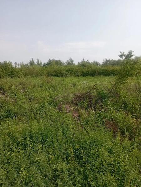 Продам ділянку під забудову житлової нерухомості