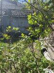 Продам будинок, 47 м², без ремонту