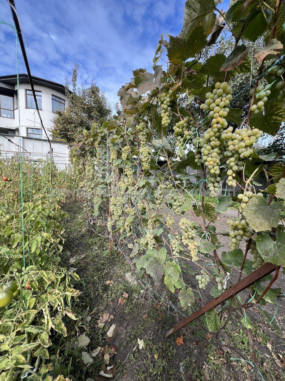 Фото Затишний будинок зі зручним розташуванням та облаштованим подвір'ям23