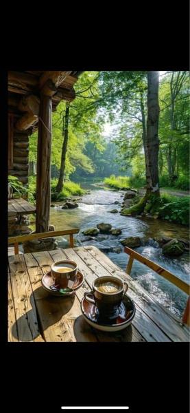 Продам ділянку сільгосп призначення