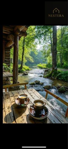 Продам ділянку сільгосп призначення